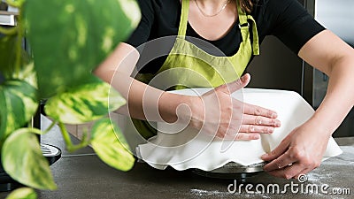 woman in bakery decorating cake with royal icing Stock Photo