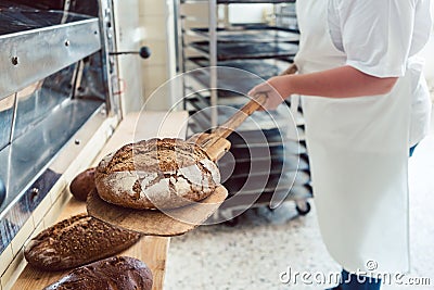 Woman in bakery putting bread on board Stock Photo