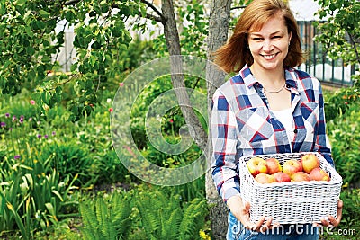 Woman with a basket of apples in the garden Stock Photo