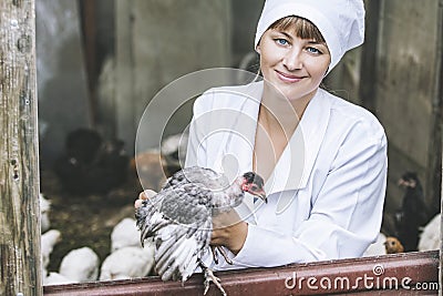 Woman in Bathrobe smiling young veterinarian checks the hens on Stock Photo
