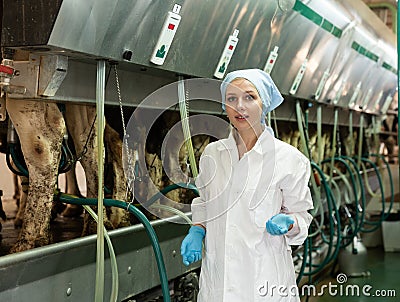 Woman in bathrobe working with automatical cow milking machines Stock Photo