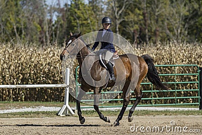 Woman and bay galloping at a fall horse show Stock Photo