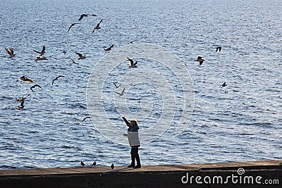 Woman on the beach feeding gulls.Seagulls circle the silhouette of a woman Stock Photo