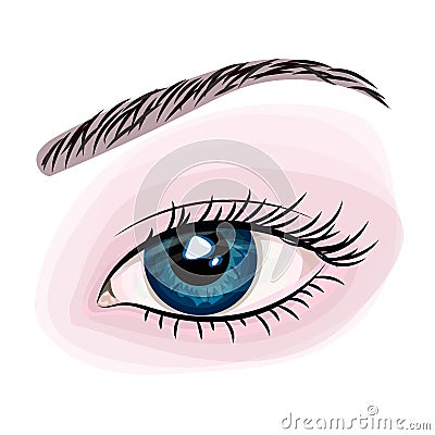 Woman beautiful blue eye Vector Illustration