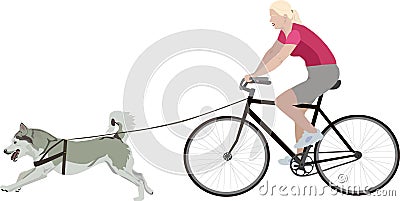 Woman on a bicycle with a dog. Vector Illustration