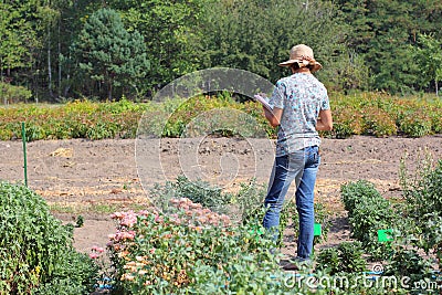 Woman biologist exploring plants Stock Photo