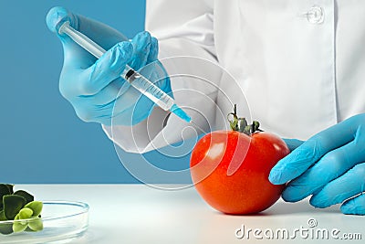 A woman biologist scientist in the lab, in a white coat, and rubber gloves on a blue background. Inject drugs with a Stock Photo