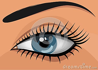 Woman blue eye Vector Illustration