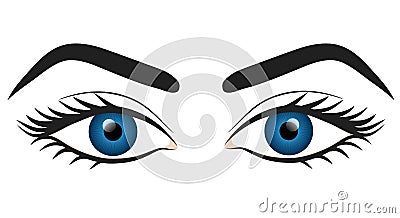 Woman blue eyes hand draw stock vector illustration design Vector Illustration