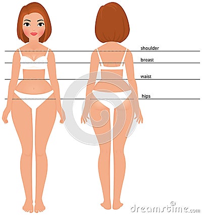 Woman body full length front and back Vector Illustration