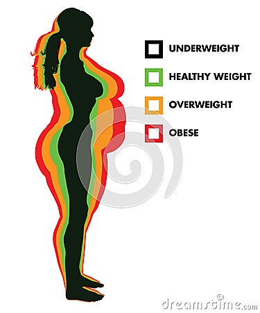 Woman Body Mass Index BMI categories Vector Illustration