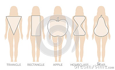 Woman Body Shape Triangle, Rectangle, Apple, Pear and Hourglass Vector Illustration