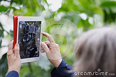 A woman Stock Photo