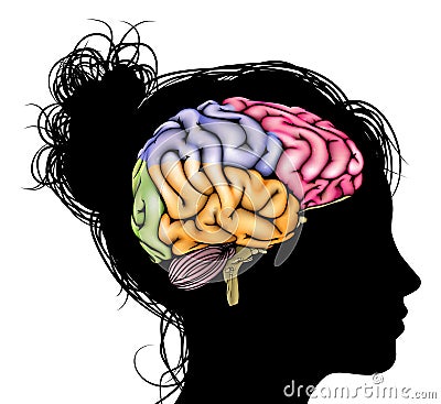 Woman brain concept Vector Illustration