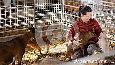 Woman breeder playing with goatlings in barn Stock Photo