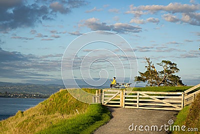 Woman in bright yellow top resting on walk around the Mount taking photos on mobile phone Editorial Stock Photo