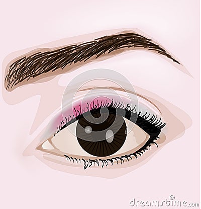 Woman brown eye with make-up Vector Illustration
