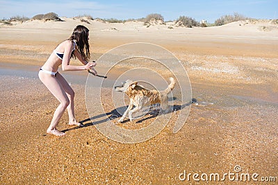 Woman bruenette in bikini playing with his fawn dog Labrador on the seashore, takes on the camera Stock Photo