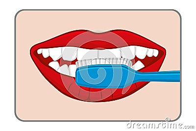 Woman brushing her teeth vector illustration Vector Illustration