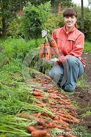 Woman with carrot harvest Stock Photo