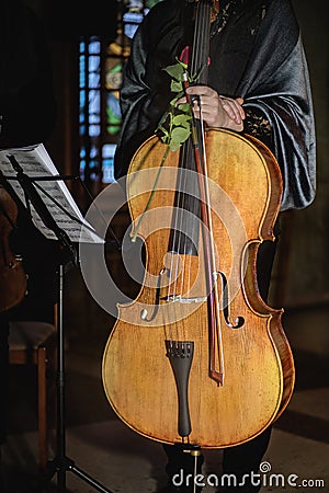 Woman cellist standing with a violoncello Stock Photo