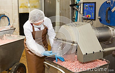 Woman checking meat mincing machine Stock Photo