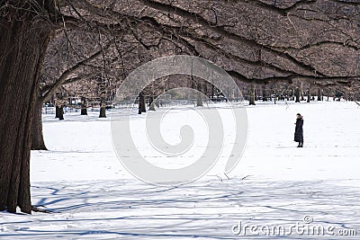 Woman checking her cellphone in the Central Park covered with snow after winter storm Stella. Editorial Stock Photo