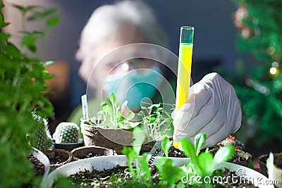 woman chemist experimenting with chemicals and plants holding a test tube Stock Photo