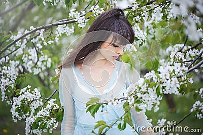 Woman in a cherry garden Stock Photo