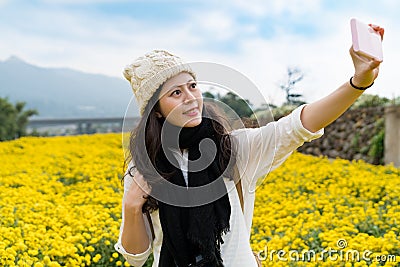 Woman in chrysanthemum field in Taiwan Stock Photo