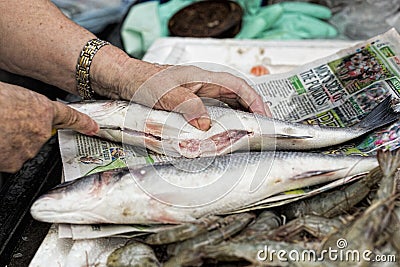 Woman cleaning fish on the street food market Editorial Stock Photo