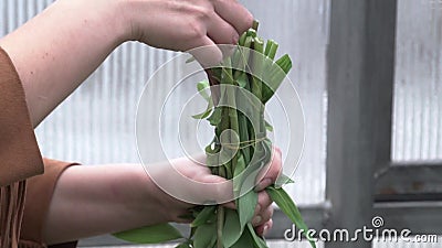 bouquet plastic wrap