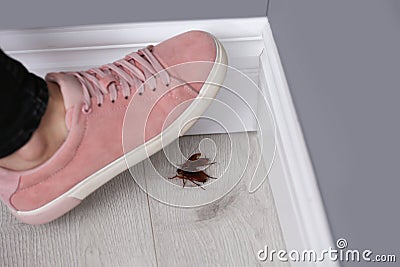 Woman crushing cockroaches with feet. Pest control Stock Photo