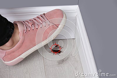 Woman crushing cockroaches with feet, closeup. Pest control Stock Photo