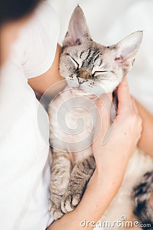 Woman is cuddling Devon Rex cat. Kitty is purring. Spending time with a cat, your production of serotonin, a chemical that boosts Stock Photo