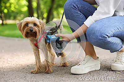 Woman with cute dog taking waste bag from holder in park Stock Photo