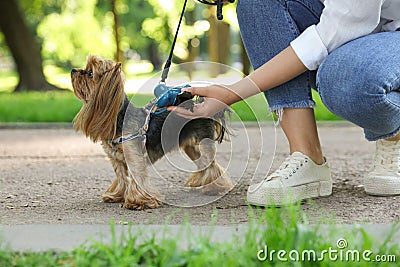 Woman with cute dog taking waste bag from holder in park Stock Photo