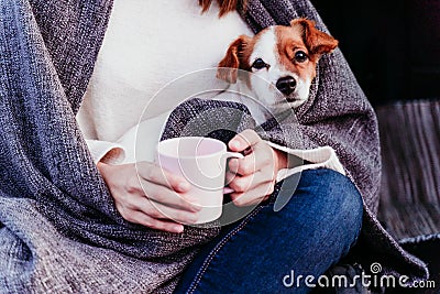 woman and cute jack russell dog enjoying outdoors at the mountain into the car. Travel concept. winter season. close up view Stock Photo