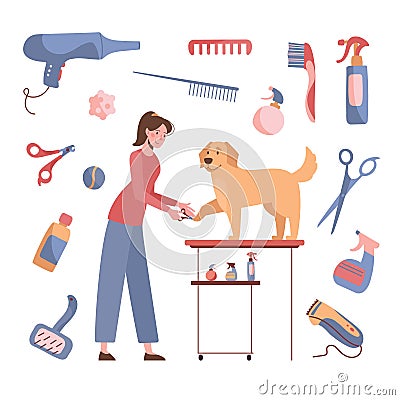 The woman cuts the claws of the golden retriever. Dog grooming. Vector illustration isolated on white background Vector Illustration