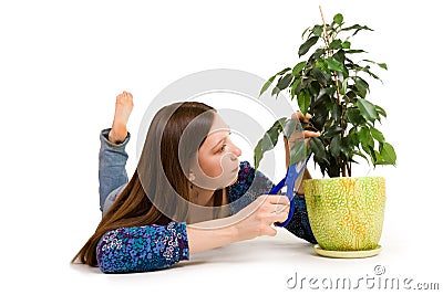 Woman cuttion plant with blue scissors Stock Photo
