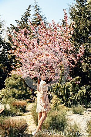 Woman with dark hair in elegant dress posing near flowering sakura trees in spring garden Stock Photo