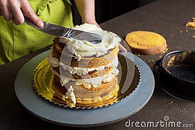 Woman decorating a cake with icing cream Stock Photo