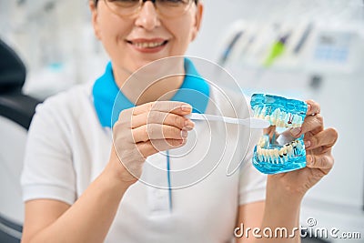 Woman dental hygienist showing the right way to brush teeth Stock Photo