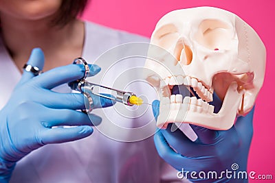 Woman dentist with a carpool syringe injects anesthetic into the gum of the artificial skull Stock Photo
