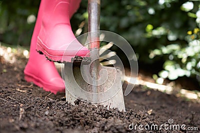 Woman digging in garden Stock Photo