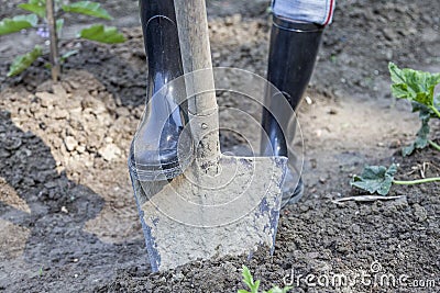 Woman digging in the garden with black boots Stock Photo