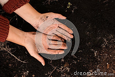 Woman with dirty hands on black soil Stock Photo