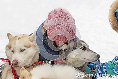 Woman and dog. Stock Photo