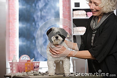 Woman and dog at pet grooming salon Stock Photo