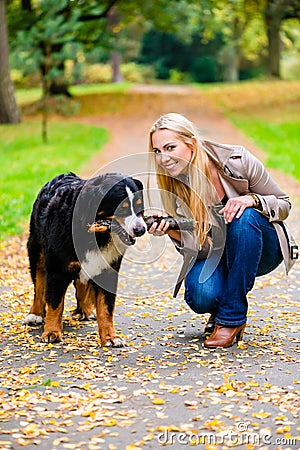 Woman and dog at retrieving stick game Stock Photo